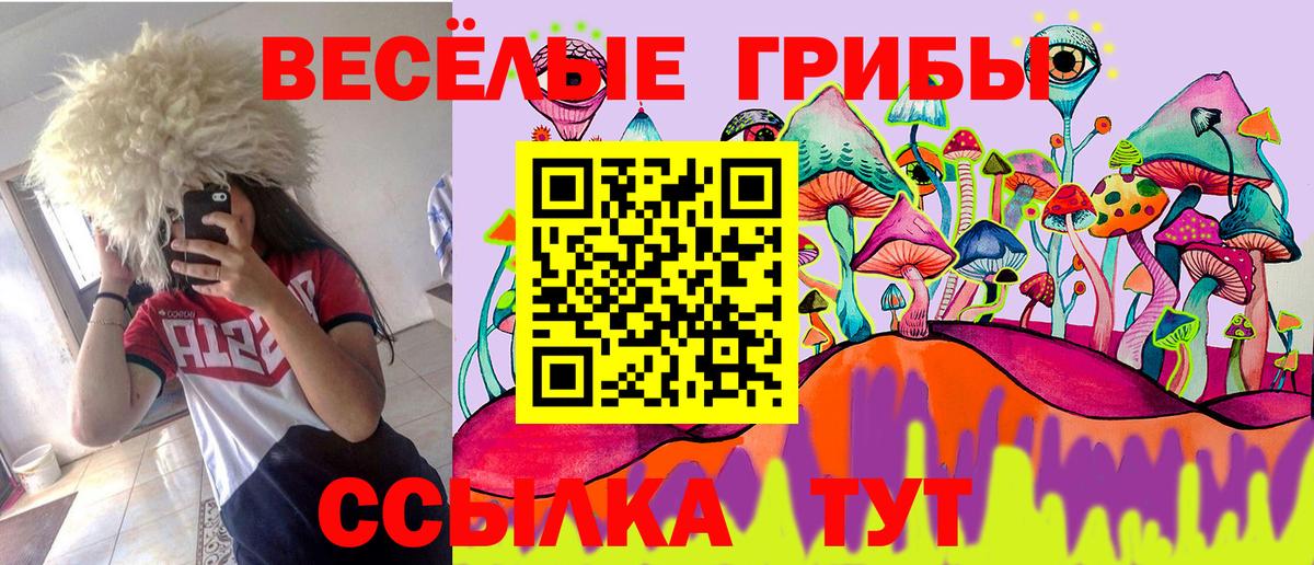 Галлюциногенные грибы GOLDEN TEACHER  Галлюциногенные грибы Psilocybine cubensis  Вязники  Вход с VPN 