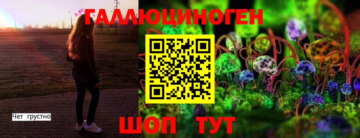 Псилоцибиновые грибы Magic Shrooms Вязники